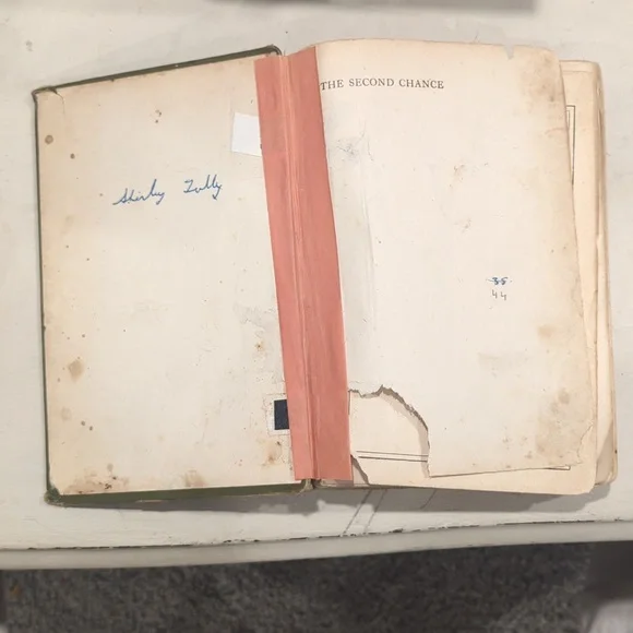 1910 "The Second Chance" By Nellie McClung - Picture 3 of 12